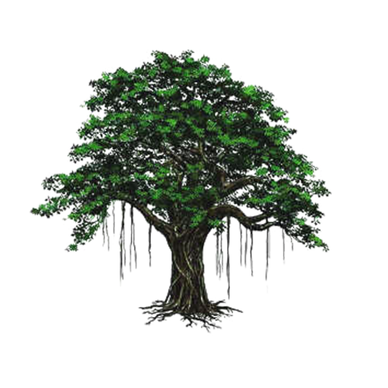 electronics.kaddora.com